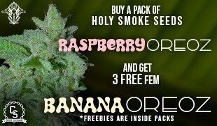Holy Smoke Banana Oreoz