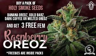 Holy Smoke Raspberry Oreoz