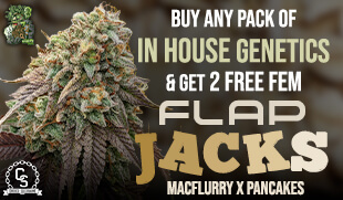 In House Genetics Flap Jacks