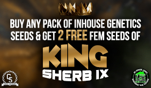 In House Genetics King Sherb IX