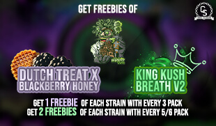 In House Freebies