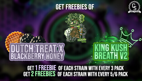 In House Freebies