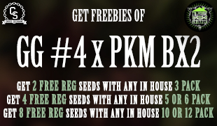 In House Genetics - GG4 x PKM BX2