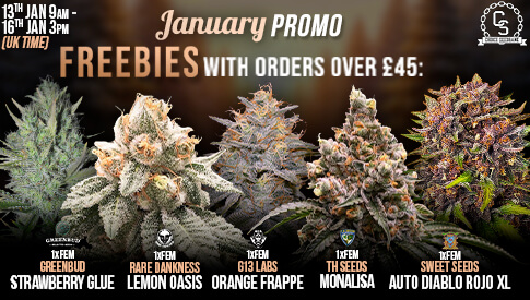 January Promo