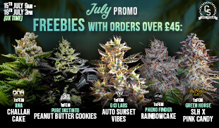 JULY Promo