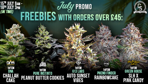 JULY Promo