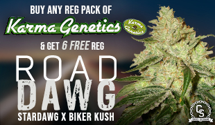 Karma Genetics - Road Dawg