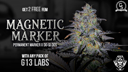 G13 Magnetic Marker