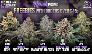 March Promo