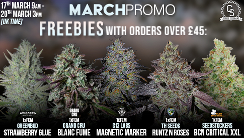 March Promo