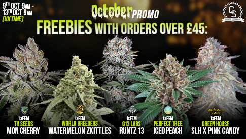 October Promo