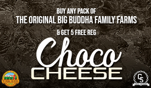 The Original Big Buddha Family Farms Choco Cheese