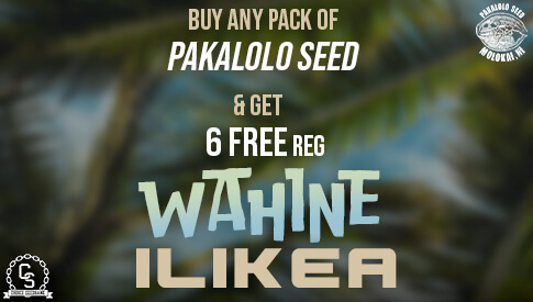 Pakalolo Wahine Ilikea