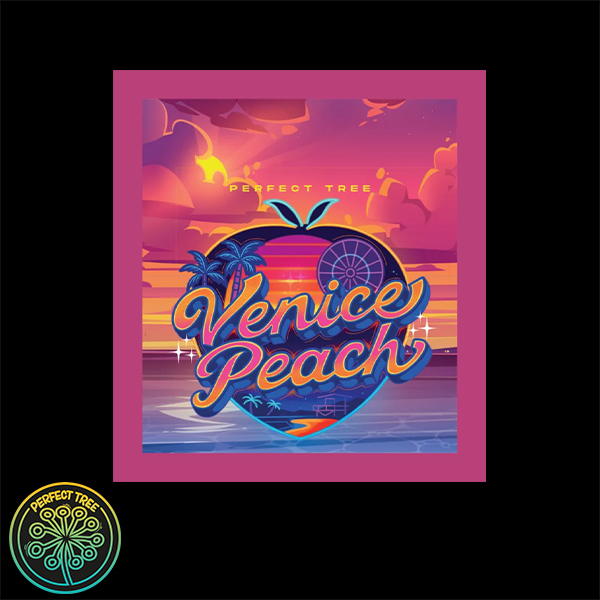 Perfect Tree Seeds Venice Peach (PEACH OZZ LINE)
