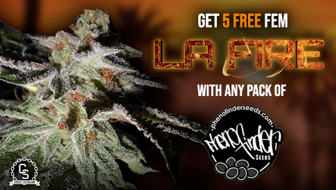 Pheno Finder - LA Fire