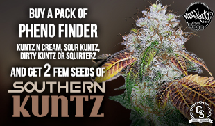 Pheno Finder Southern Kuntz