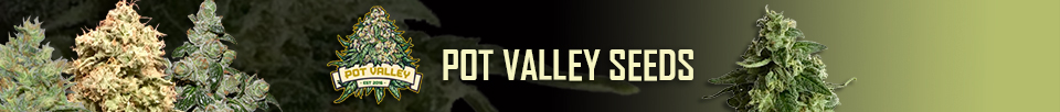 Pot Valley Seeds