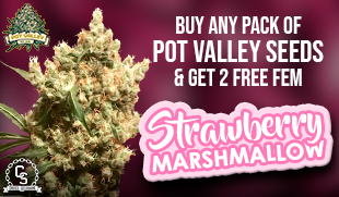 Pot Valley Strawberry Marshmallow