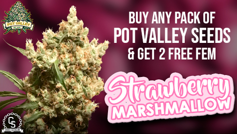 Pot Valley Strawberry Marshmallow