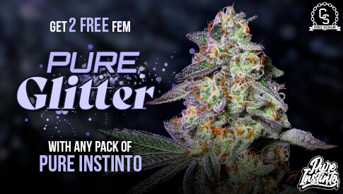 Pure Instinto Pure Glitter