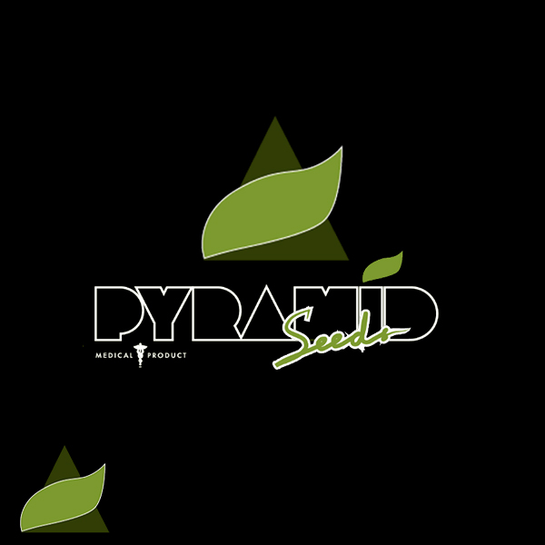 Pyramid Seeds Lucky Dip