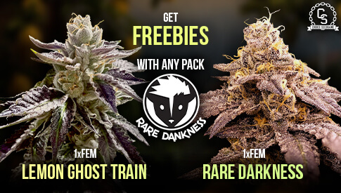 Rare Dankness Freebies