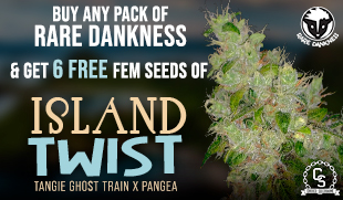 Rare Dankness Island Twist