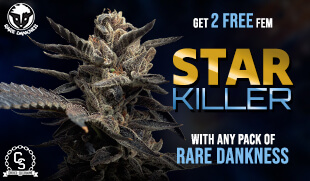 Rare Dankness Star Killer