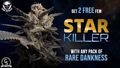 Rare Dankness Star Killer