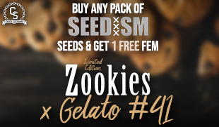 Seedism - Zookies x Gelato #41