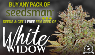 Seedsman Seeds White Widow