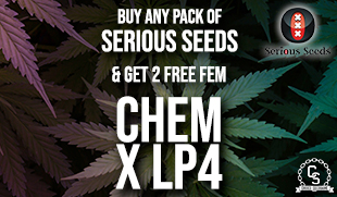 Serious Seeds Chem X LP4