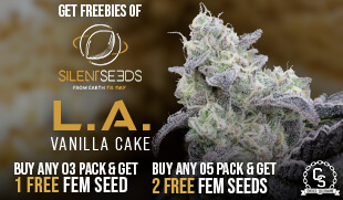 Silent Seeds LA Vanilla Cake