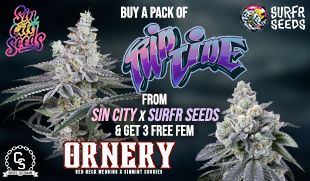 SinCity Seeds - Rep Tide & Ornery