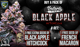 TH Seeds Black Apple Hitchcock + French Macaron