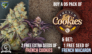 TH Seeds French Cookies + French Macaron