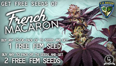 TH Seeds French Macaron Promo