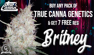 TrueCanna Genetics Britney