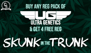 Ultra Genetics Skunk in the Trunk
