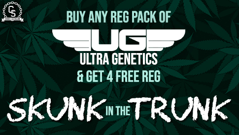 Ultra Genetics Skunk in the Trunk