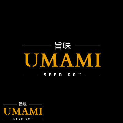 Umami Seed Co. Color Theory