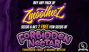 Zmoothiez Forbidden Nectar
