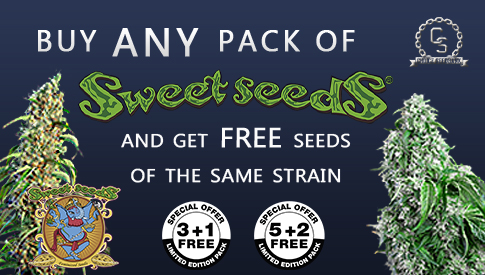 Sweet Seeds Promo