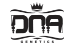 DNA Genetics Seeds