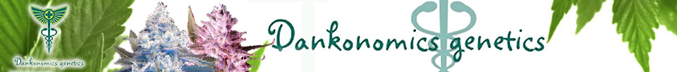 Dankonomics Genetics