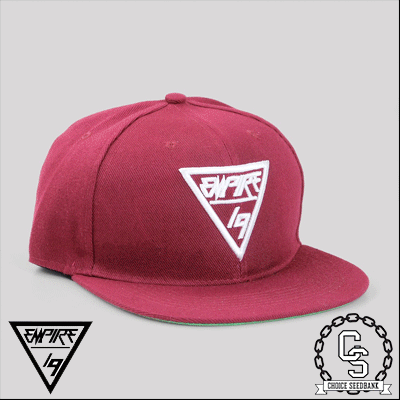 Empire 19 Snapback Burgundy