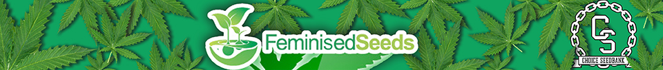 Feminised Seeds Company