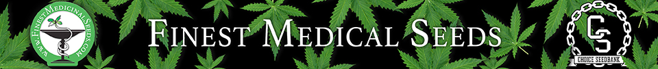 Finest Medicinal Seeds