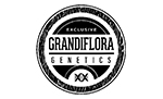 Grandiflora Genetics