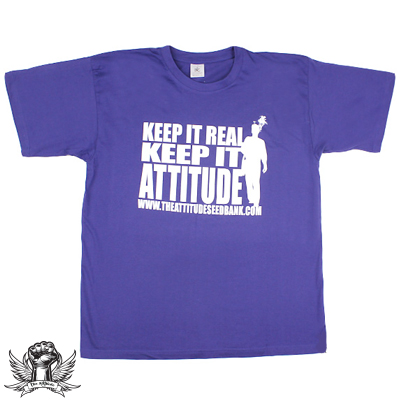 The Attitude Seedbank Keep it Attitude T Shirt Indigo